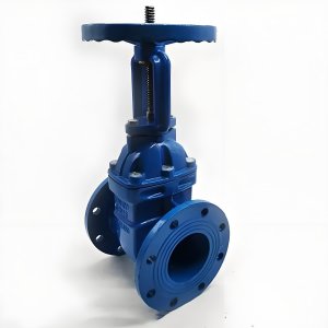 手動閘閥Z41T-16 DN50/DN65廠家直銷，上海發(fā)